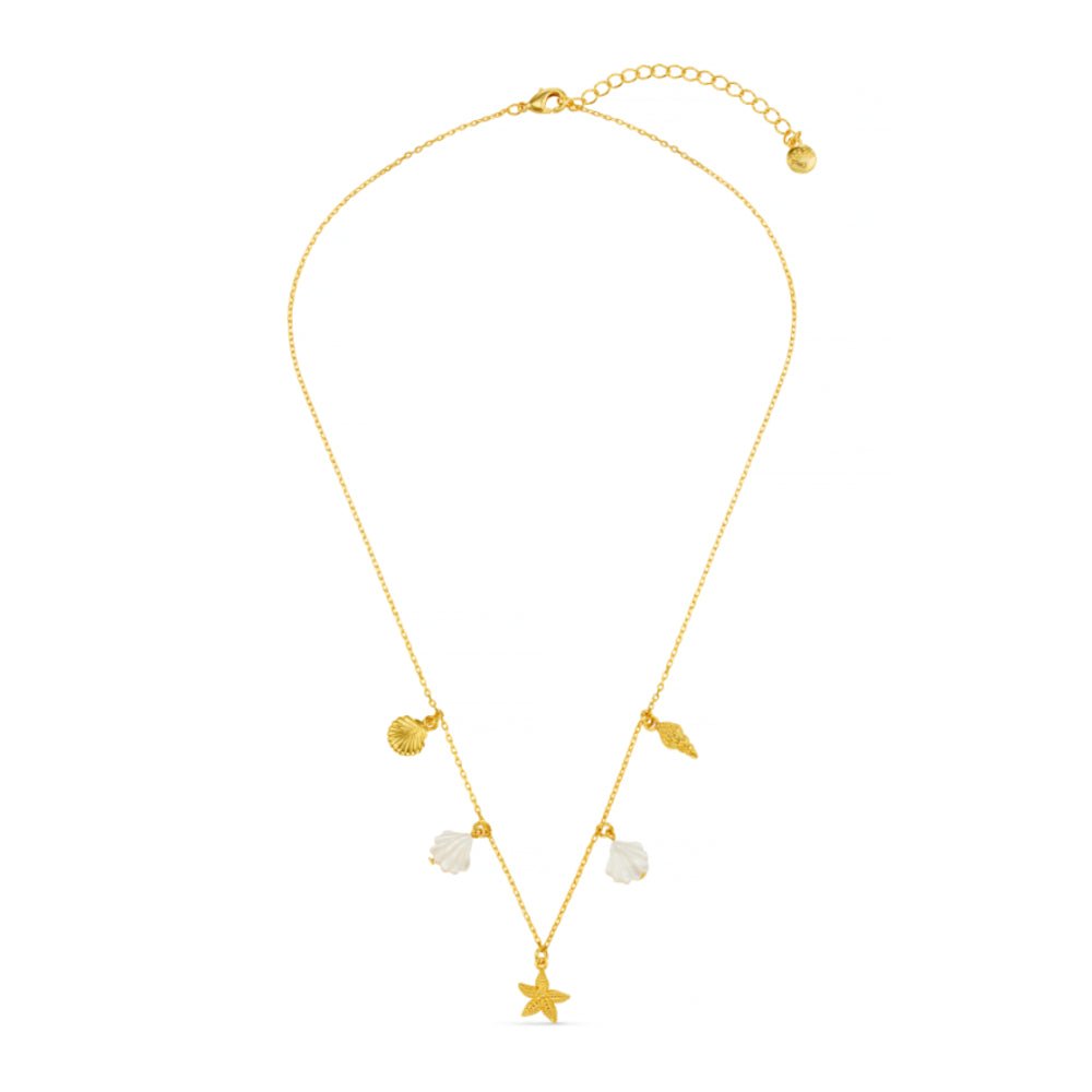 Mixed Shell & Starfish Charm Necklace - Image 4